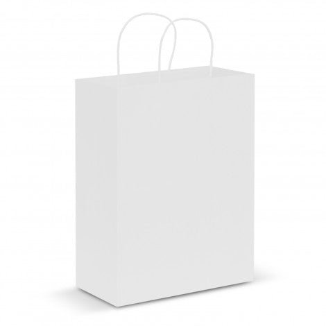 Paper Carry Bag - Large - Branding Evolution