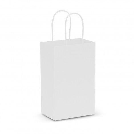 Paper Carry Bag - Small - Branding Evolution