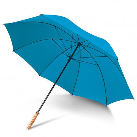 Pro Umbrella - Branding Evolution