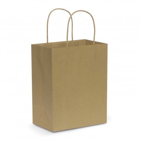 Paper Carry Bag - Medium - Branding Evolution
