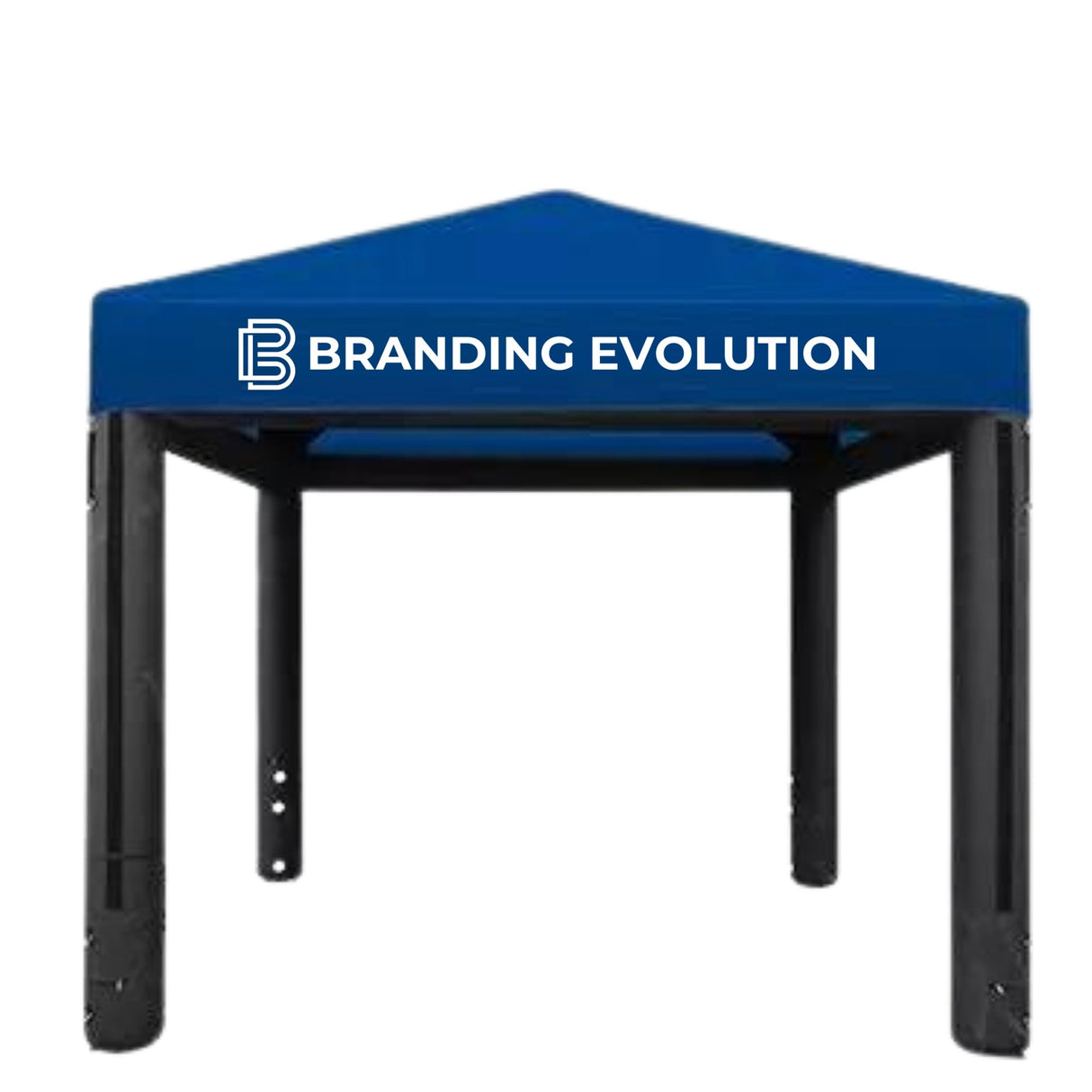 Parallel - Branding Evolution