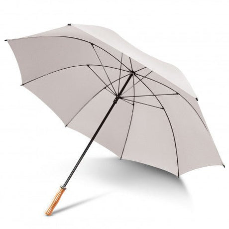 Pro Umbrella - Branding Evolution